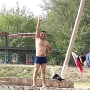 ���������� ���������, ���� ������� Lev, 36 ���, ������������ ��� ������, ����� � ���������