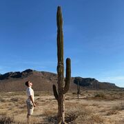 ���������� ���������, ���� ������� ������, 33 ����, ������������ ��� ����� � ���������, c�������� ���������