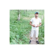  ,   , 31 ,     , c , 