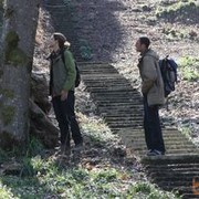 ���������� �������, ���� ������� Saladini, 37 ���, ������������ ��� ������