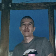  ,  Danik, 31