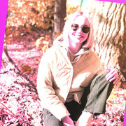 ���������� ����, ���������