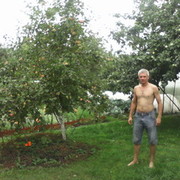 ���������� �����, ���� ������� Grek, 48 ���, ������������ ��� ����� � ���������, c�������� ���������