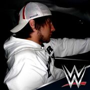 ���������� ������������, ���� ������� ��������, 38 ���, ������������ ��� ������, ����� � ���������