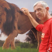 ���������� �����������, ���� ������� ������, 59 ���, ������������ ��� c�������� ���������