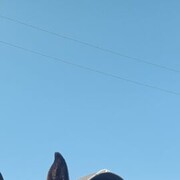  ,   , 39 ,     , c 