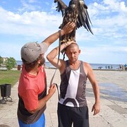 ���������� ������, ���� ������� ������, 40 ���, ������������ ��� ������, ����� � ���������