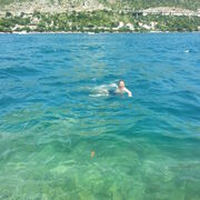 ���������� ������, ���� ������� ������, 37 ���, ������������ ��� ����� � ���������, c�������� ���������