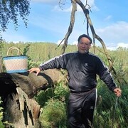 ���������� ������� �����, ���� ������� �������, 43 ����, ������������ ��� ������, ����� � ���������, c�������� ���������