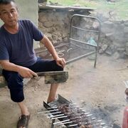  ,   , 54 ,   ,   