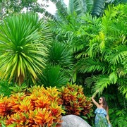  ,   Anna, 34 ,     , c 