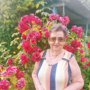  ,   , 67 ,   ,   