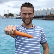 ���������� �������, ���� ������� ����, 38 ���, ������������ ��� ������, ����� � ���������, c�������� ���������, ���������