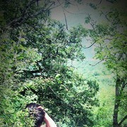 ���������� �������, ���� ������� Semistan, 30 ���, ������������ ��� ������