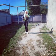  --,   , 34 ,   c 