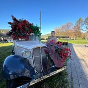 ���������� ��������, ���� ������� ����, 50 ���, ������������ ��� ����� � ���������, c�������� ���������