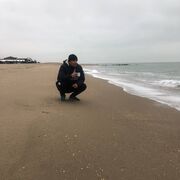  ,   , 36 ,   ,   