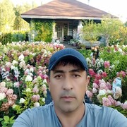 ,   , 43 ,     , 