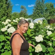  ,   , 72 ,   ,   
