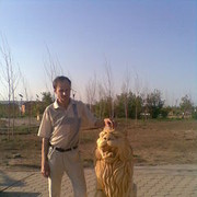  ,   , 49 ,   ,   , c , 