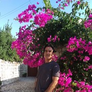  Athienou,   Alex, 50 ,   ,   , c 