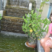  ,   , 45 ,   ,   , c 