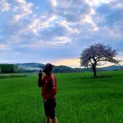  Frankfurt am Main,   Vik, 29 ,   , 