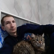 ���������� �����, ���� ������� �������, 38 ���, ������������ ��� ����� � ���������, c�������� ���������, ���������