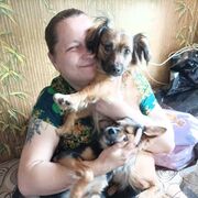 ���������� �����������, ���� ������� ����������, 37 ���, ������������ ��� ����� � ���������, c�������� ���������, ���������