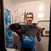 ���������� ����������, ���� ������� �������, 38 ���, ������������ ��� ������, ����� � ���������, c�������� ���������