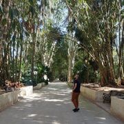  Algiers,   Mahi, 30 ,   ,   