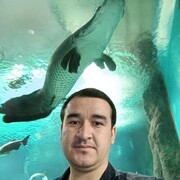  ,  Murod, 31