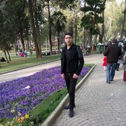  ,   Asiman, 31 ,   ,   , c 