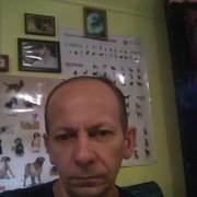 ,   , 51 ,   