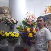  ,   , 43 ,   ,   