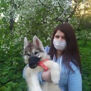 ���������� ������, ���� ������� ������, 34 ����, ������������ ��� ������, ����� � ���������, c�������� ���������