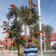  ,   , 48 ,   