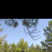 ���������� ������, ���� ������� ������, 48 ���, ������������ ��� ������, ����� � ���������, c�������� ���������