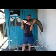  ,   , 41 ,   ,   