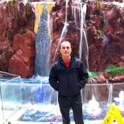 ���������� �����������, ���� ������� ����, 43 ����, ������������ ��� ������, ����� � ���������, c�������� ���������