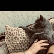  ,   , 24 ,   ,   , 