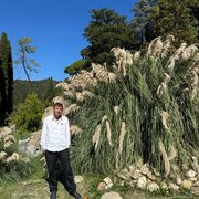 ,   Karlovich, 40 ,     , c 