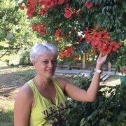  ,   , 48 ,   c 