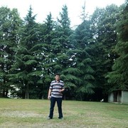  ,   Ikrom, 40 ,   ,   , c 
