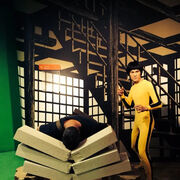 ���������� �����������, ���� ������� �������, 48 ���, ������������ ��� ������, ����� � ���������, ���������