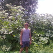 ���������� �����������, ���� ������� ����, 43 ����, ������������ ��� ������