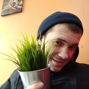 ���������� ����� �������, ���� ������� ����, 31 ���, ������������ ��� ������, ����� � ���������, c�������� ���������, ���������