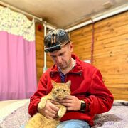 ���������� ���, ���� ������� ���������, 42 ����, ������������ ��� ����� � ���������, c�������� ���������, ���������