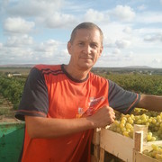 ���������� �����, ���� ������� ���, 55 ���, ������������ ��� ����� � ���������, c�������� ���������