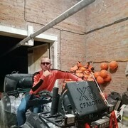  --,   ˸, 38 ,   ,   , c , 